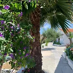 Artaki R * Koróni