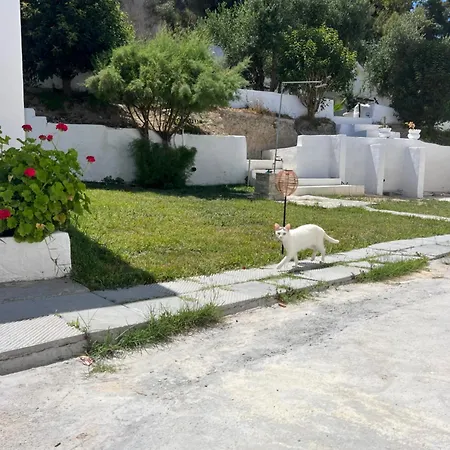 Apartamento Artaki R *